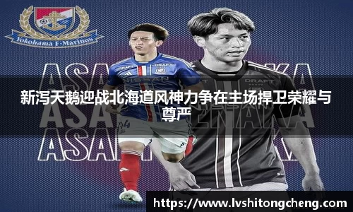 新泻天鹅迎战北海道风神力争在主场捍卫荣耀与尊严